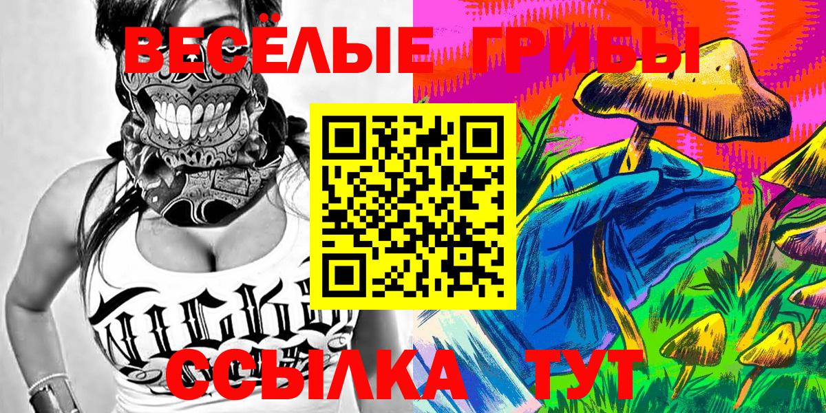 Ишимбай  закладки  Вход с VPN  Псилоцибиновые грибы Psilocybe 