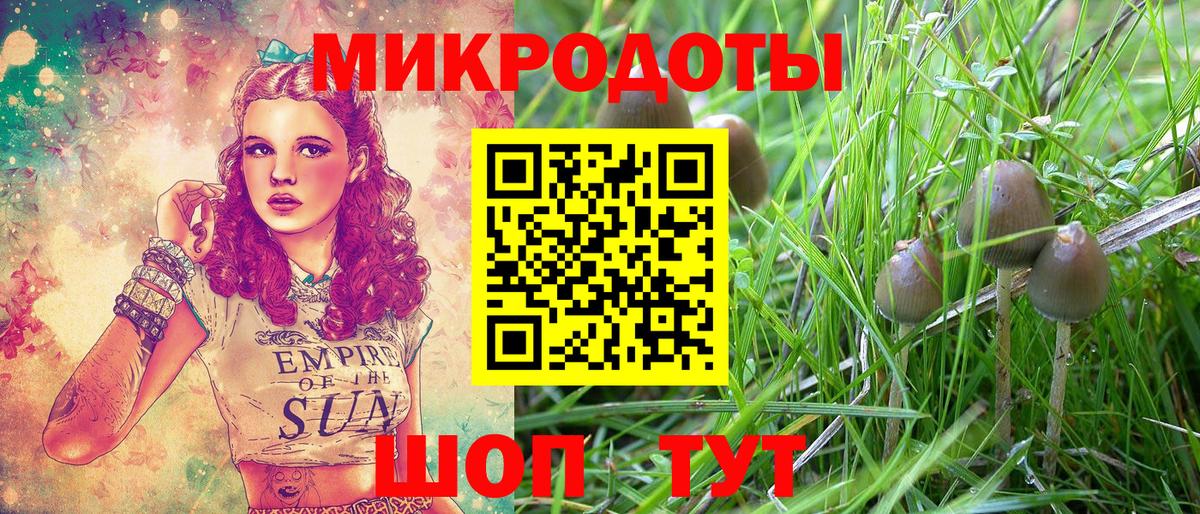 Псилоцибиновые грибы Psilocybine cubensis Ишимбай